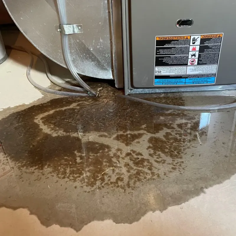 Pipe Burst and Leak Restoration in Andrews County, TX