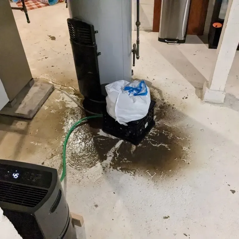 Sewage Backup Cleanup Service in Andrews County, TX
